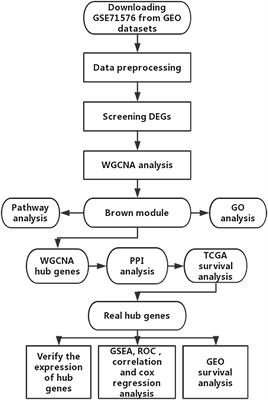 Novel Biomarkers Associated With Progression and Prognosis of Bladder Cancer Identified by Co-expression Analysis